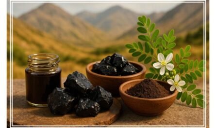 Shilajit-benefits-atomy