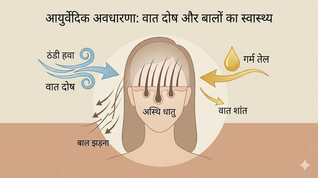 वात दोष और बाल झड़ने का आयुर्वेदिक संबंध — अस्थि धातु कमज़ोर होने से बाल झड़ते हैं